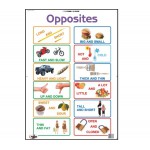 Statesman Poster Opposites
